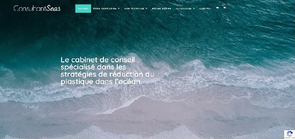 site consultantseas